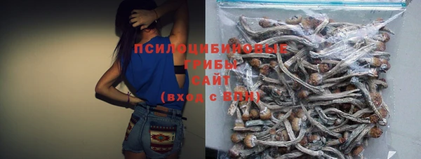 а пвп мука Армянск