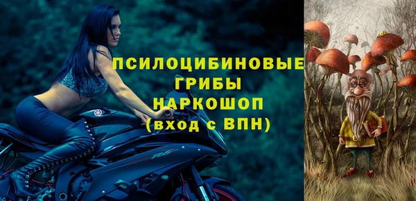 меф Арсеньев