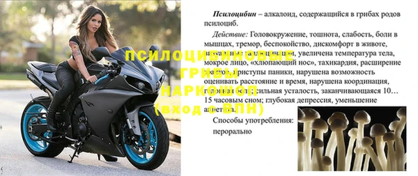 меф Арсеньев