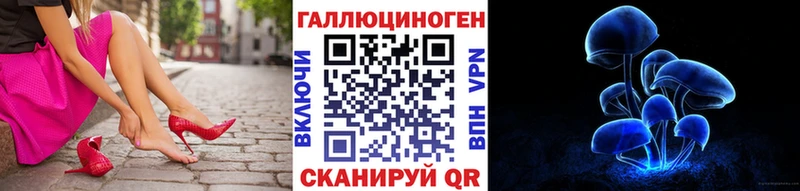 Псилоцибиновые грибы Psilocybe  Узловая 